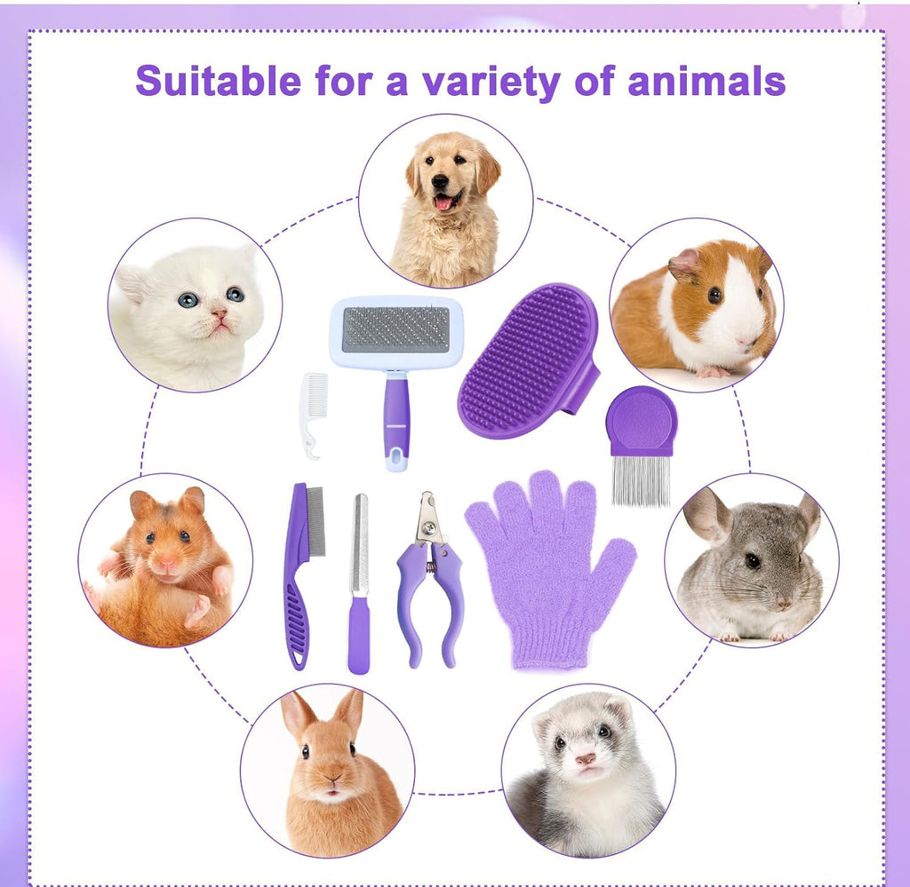 VCZONE small pet shedding slicker brush and dual stainless steel flea combs.
