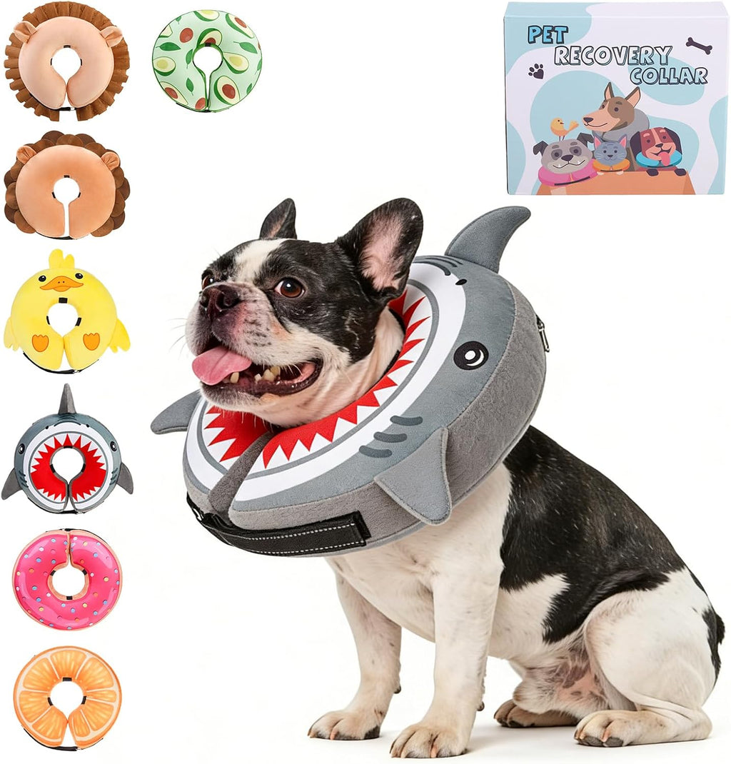 KOOLTAIL imported premium dog soft cone package contents showing deflation for storage