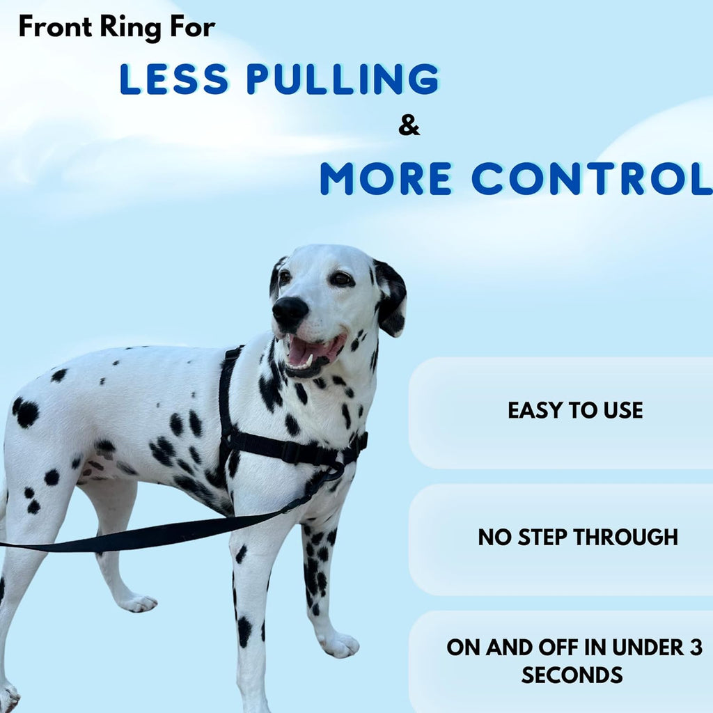 ShawnCo pet halter one-click quick-release buckle detail