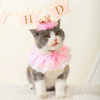 Cat wearing pink princess crown hat and lace bib at birthday party