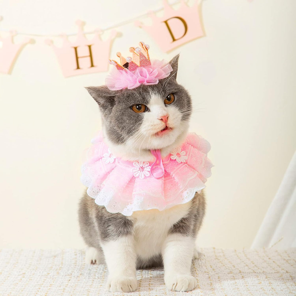 Cat wearing pink princess crown hat and lace bib at birthday party