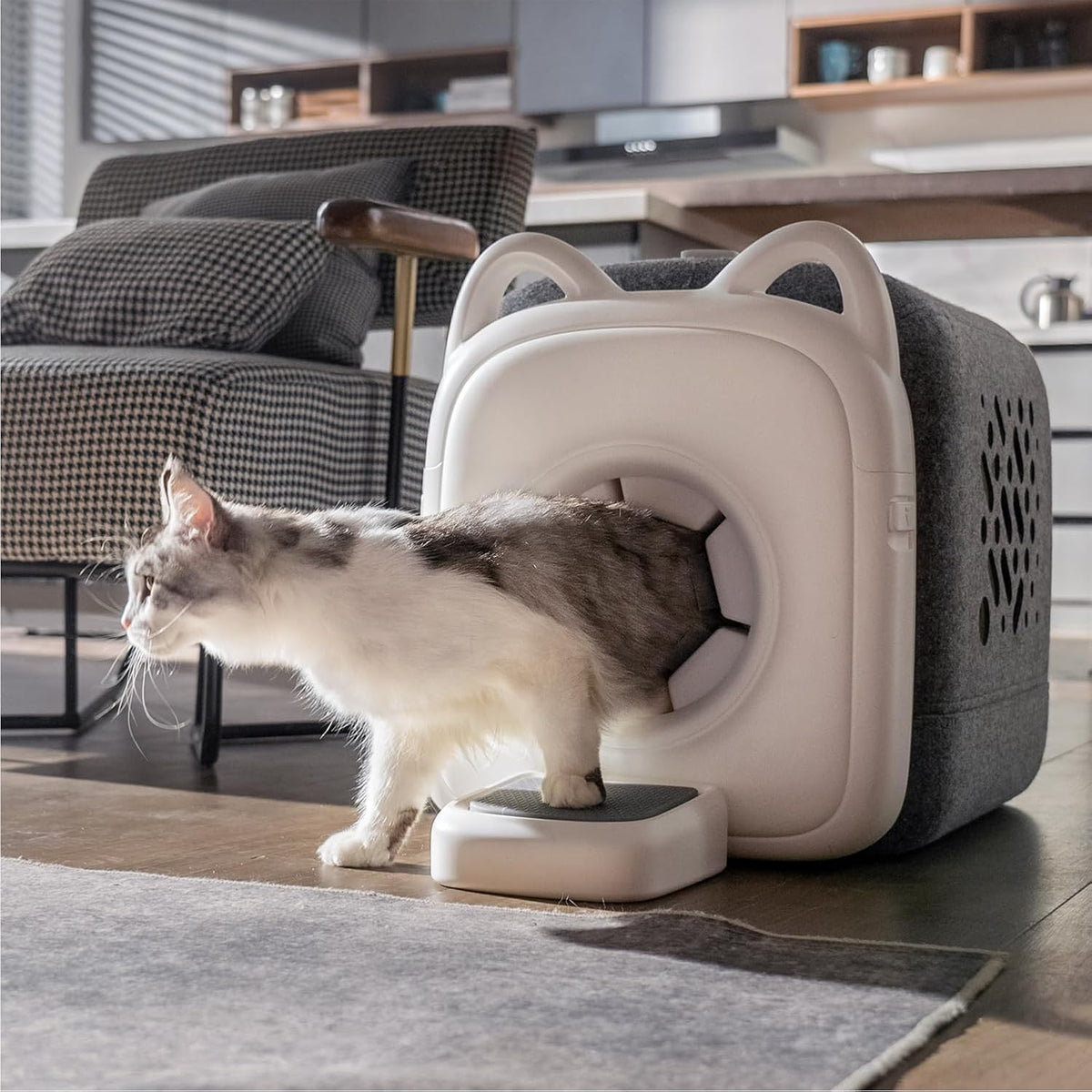 PawSwing automatic cat self groomer side view highlighting the smart treat dispenser