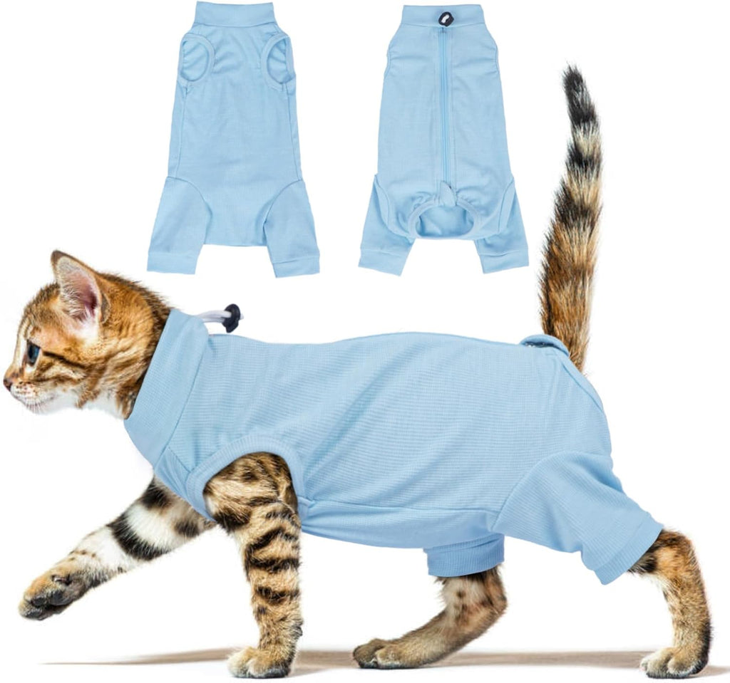 Adnikia cat recovery suit worn by a cat sitting comfortably