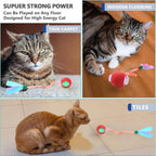 Package contents of Tchernt 2 pack cat toys