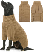 SUNFURA imported small breed dog clothing back length view