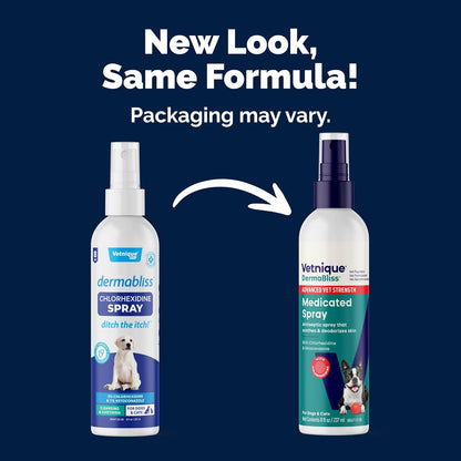 Vetnique Dermabliss Chlorhexidine Spray bottle showing active ingredient labels