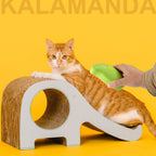 Water chamber being filled on the Kalamanda 3 in 1 steamy pet brush