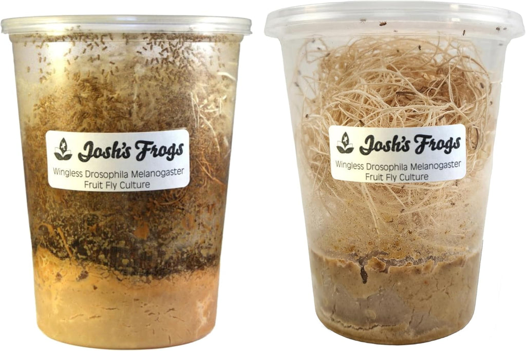 Authentic USA-sourced Josh's Frogs 32 ounce fruit fly culture package