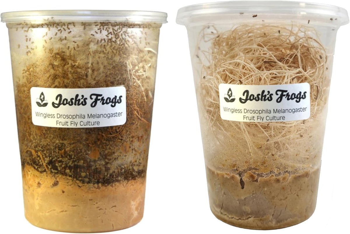 Authentic USA-sourced Josh's Frogs 32 ounce fruit fly culture package