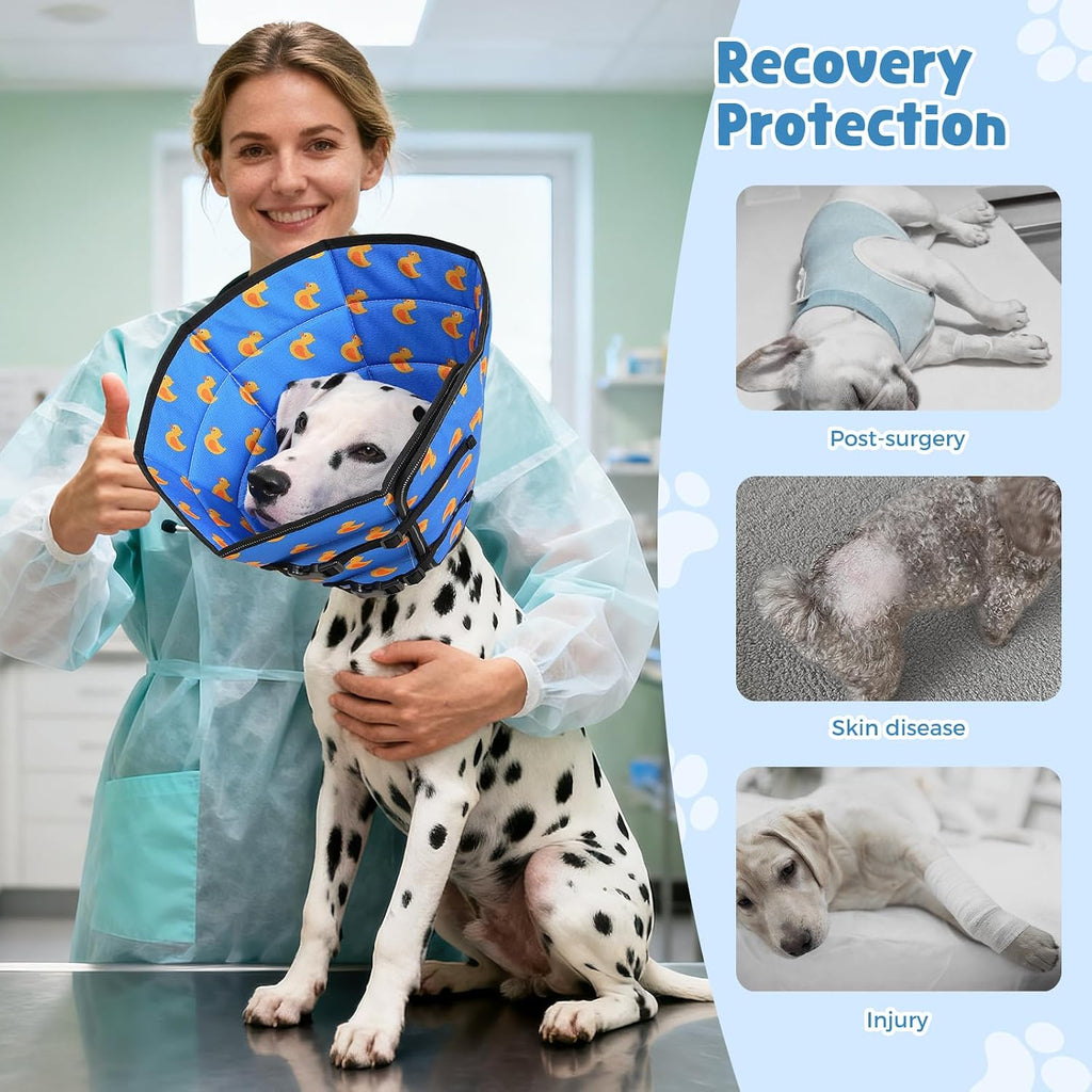 Close up of adjustable buckle on Avont dog cone