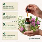 Lymphatic Drainage Drops for Bloat Relief & De-Puff - Cleavers, Red Clover, Stillingia Root & Prickly Ash Bark - Lymph Node Detox Cleanse, Fluid Retention - Alcohol-Free, Vegan, 2 Fl Oz - Image 5