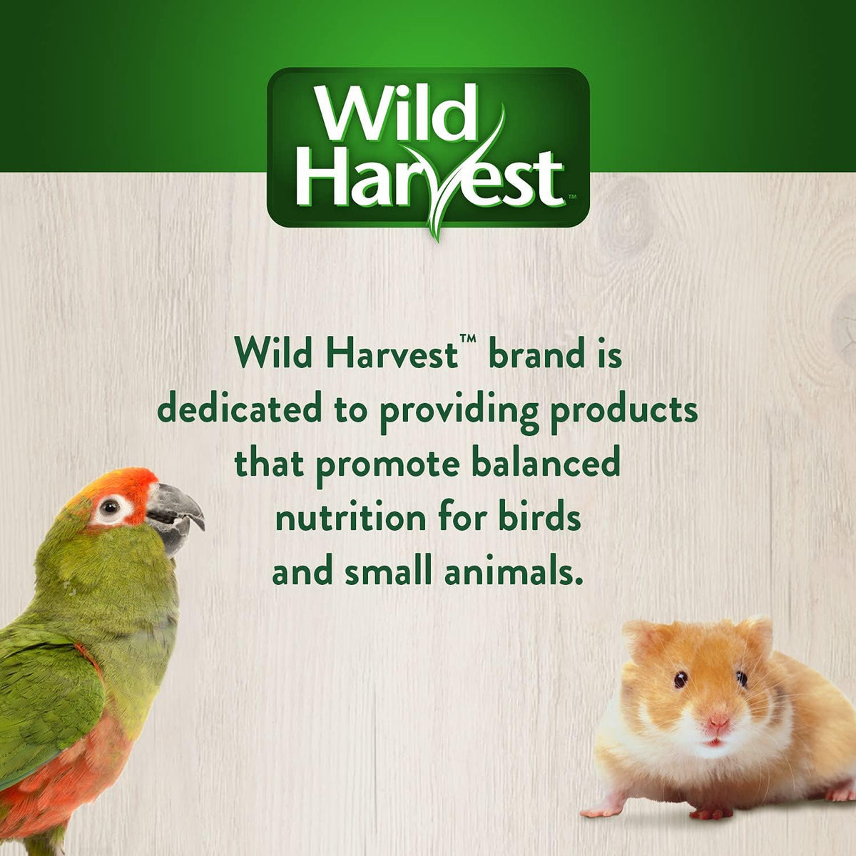 Wild Harvest Foraging Instincts bird treat product variety shot