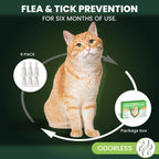 Authentic TriOak flea and tick treatment for cats box side profile