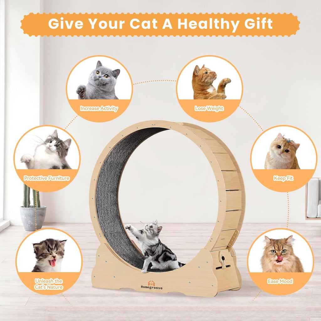 Detachable carpeted runway pad on premium cat fitness wheel