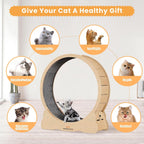 Detachable carpeted runway pad on premium cat fitness wheel