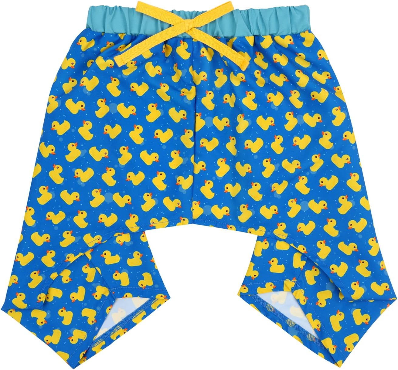 Colorful rainbow dog beach outfit for medium breeds