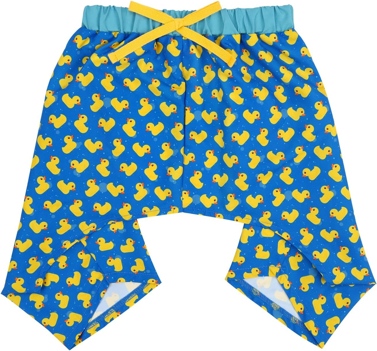 Colorful rainbow dog beach outfit for medium breeds
