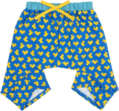 Colorful rainbow dog beach outfit for medium breeds