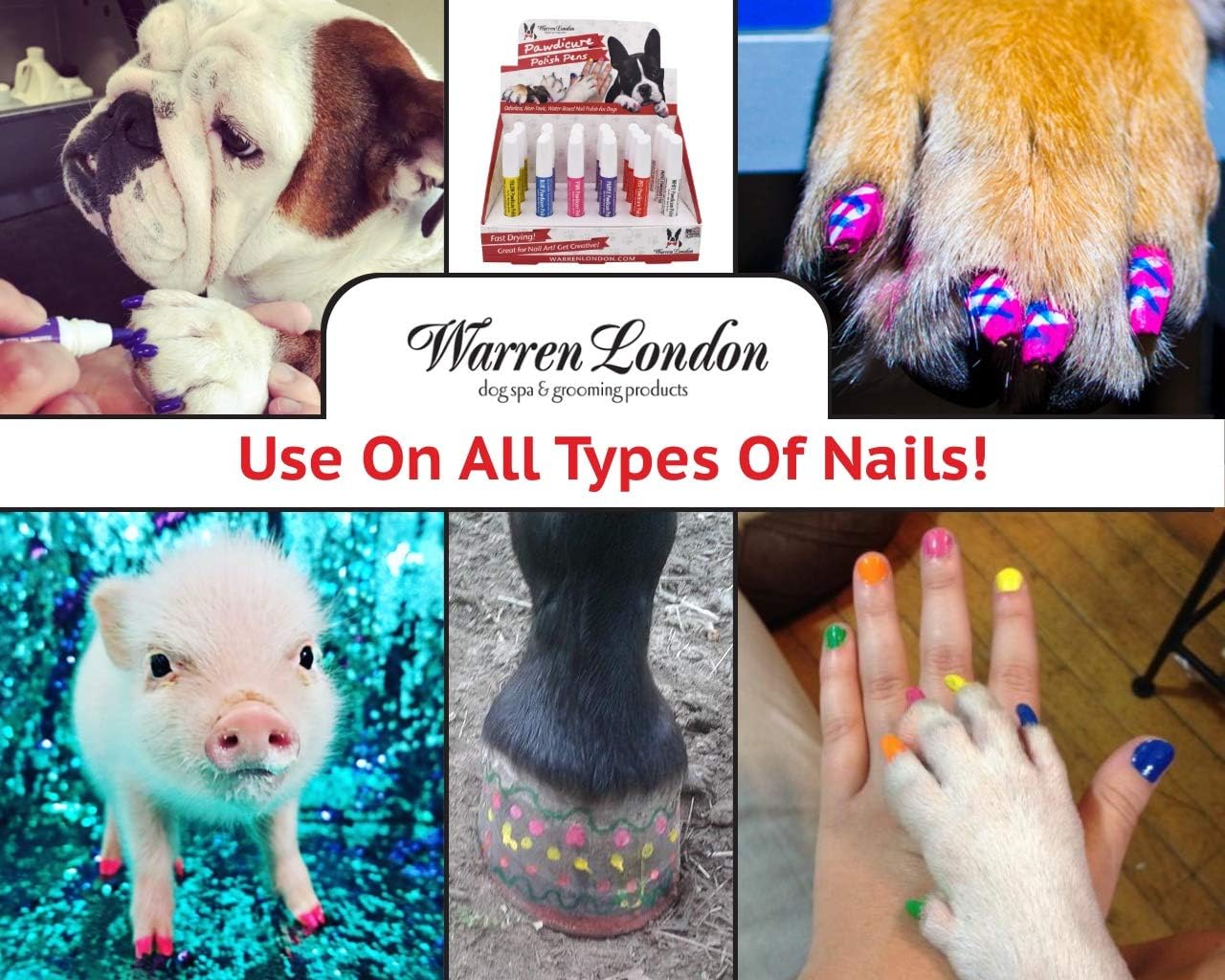 Dog with painted pink nails using Warren London polish
