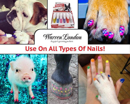 Dog with painted pink nails using Warren London polish