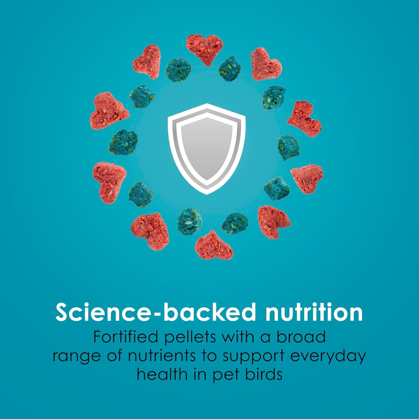 Kaytee Pro Health parakeet food branding and logo