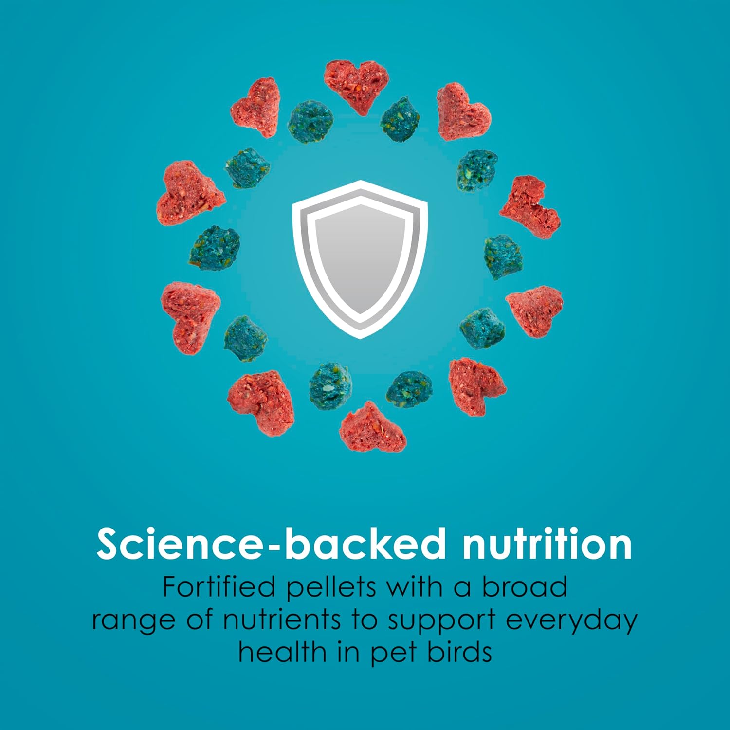 Kaytee Pro Health parakeet food branding and logo