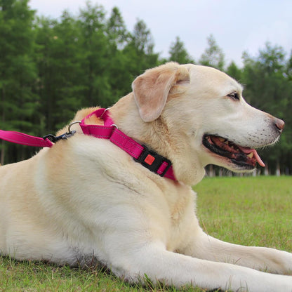 Joytale adjustable dog collar package view showing hotpink premium webbed material