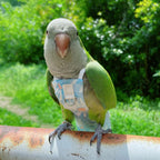 Water-resistant exterior fabric of bird flight suit