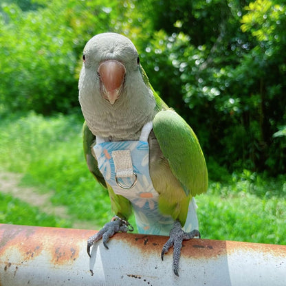 Water resistant exterior layer of the bird flying clothes demonstrating stain protection.
