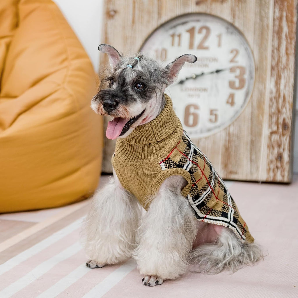 PUPTECK festive winter clothes for small dogs indoor holiday setting