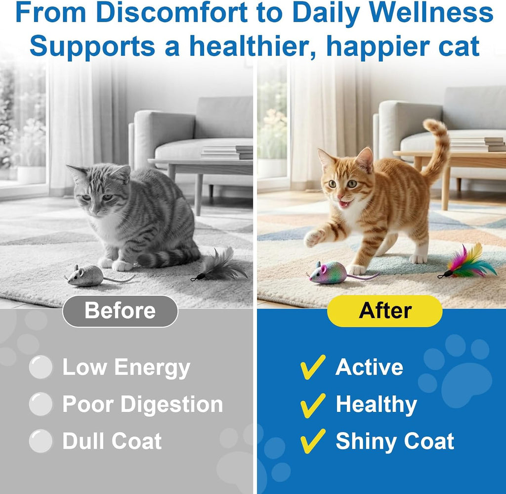 Scored broad spectrum oral tablets for multi cat households close up