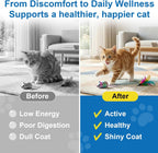 Scored broad spectrum oral tablets for multi cat households close up