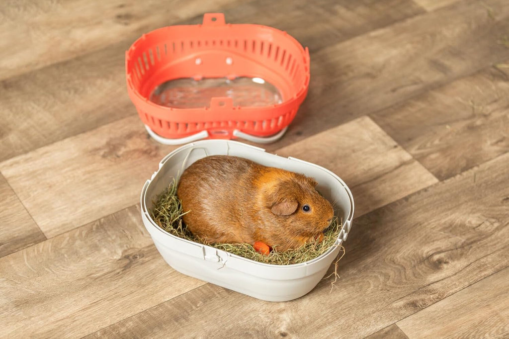 Trixie portable pet carrier handles and side profile