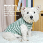 Back view of breathable dog shirt for small breeds