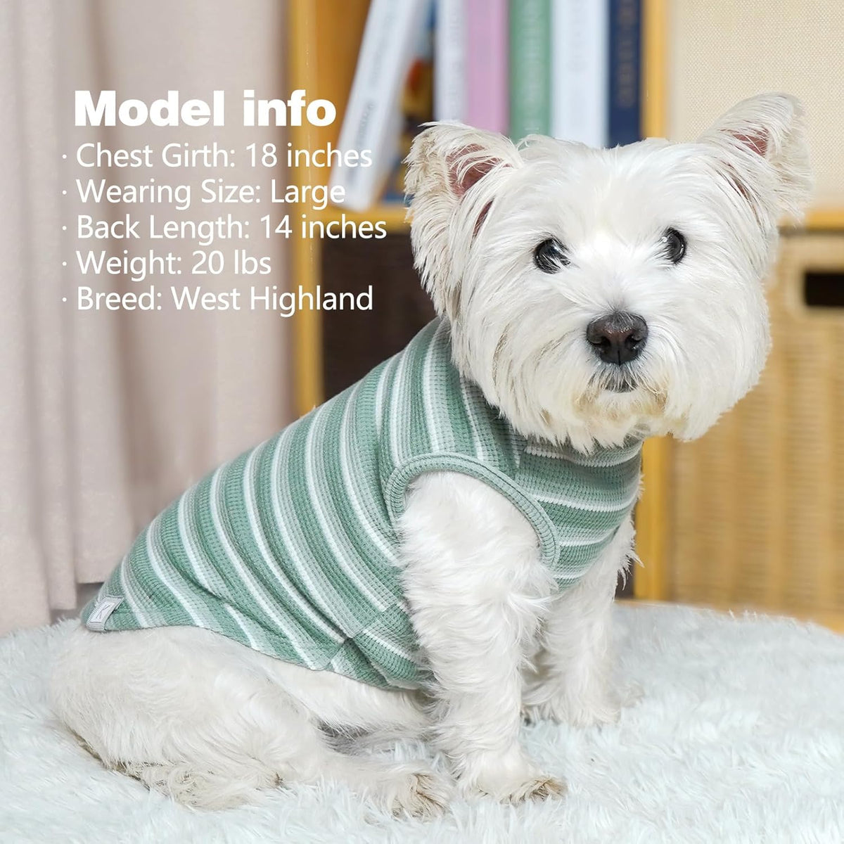Back view of breathable dog shirt for small breeds