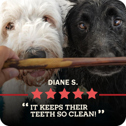 Redbarn Pet Products All Natural 5"-8" Braided Bully Sticks for Small & Large Dogs - Healthy Long Lasting Beef Chews Variety Party Pack - Single Ingredient Low Odor Rawhide Free - 8 oz Bag - Image 11