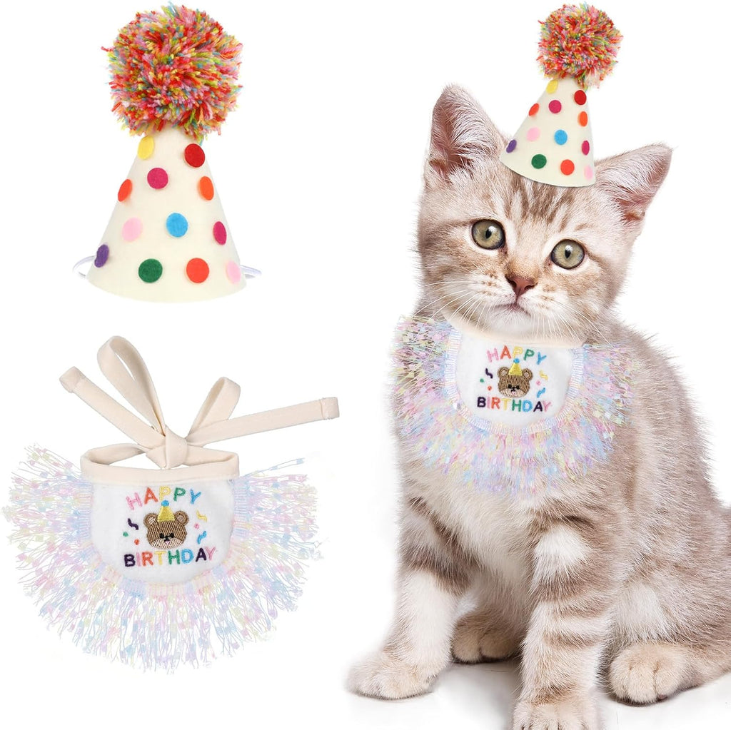 Bruislard cat birthday hat and bandana set front view