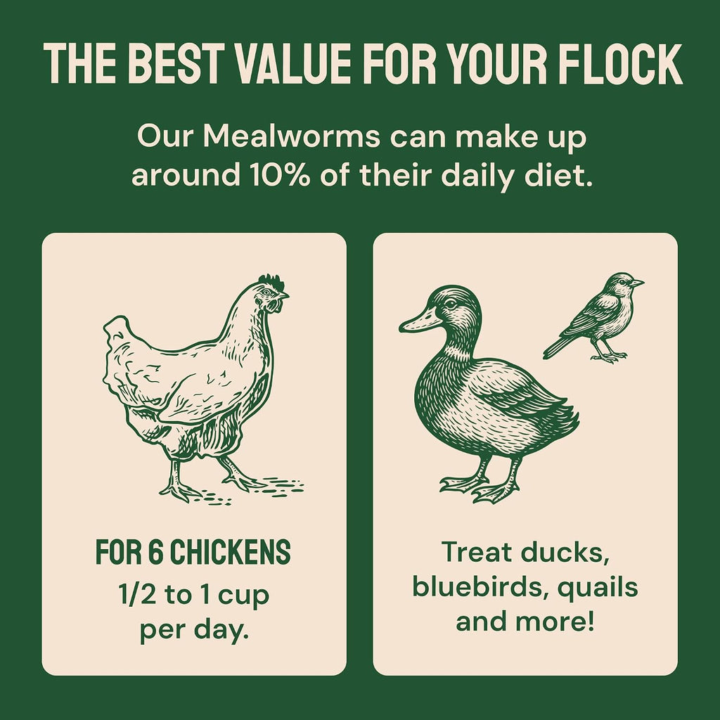 Hatortempt 5lb Dried Mealworms for Chickens & Wild Birds, Chicken Feed - Image 9