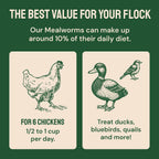 Hatortempt 5lb Dried Mealworms for Chickens & Wild Birds, Chicken Feed - Image 9