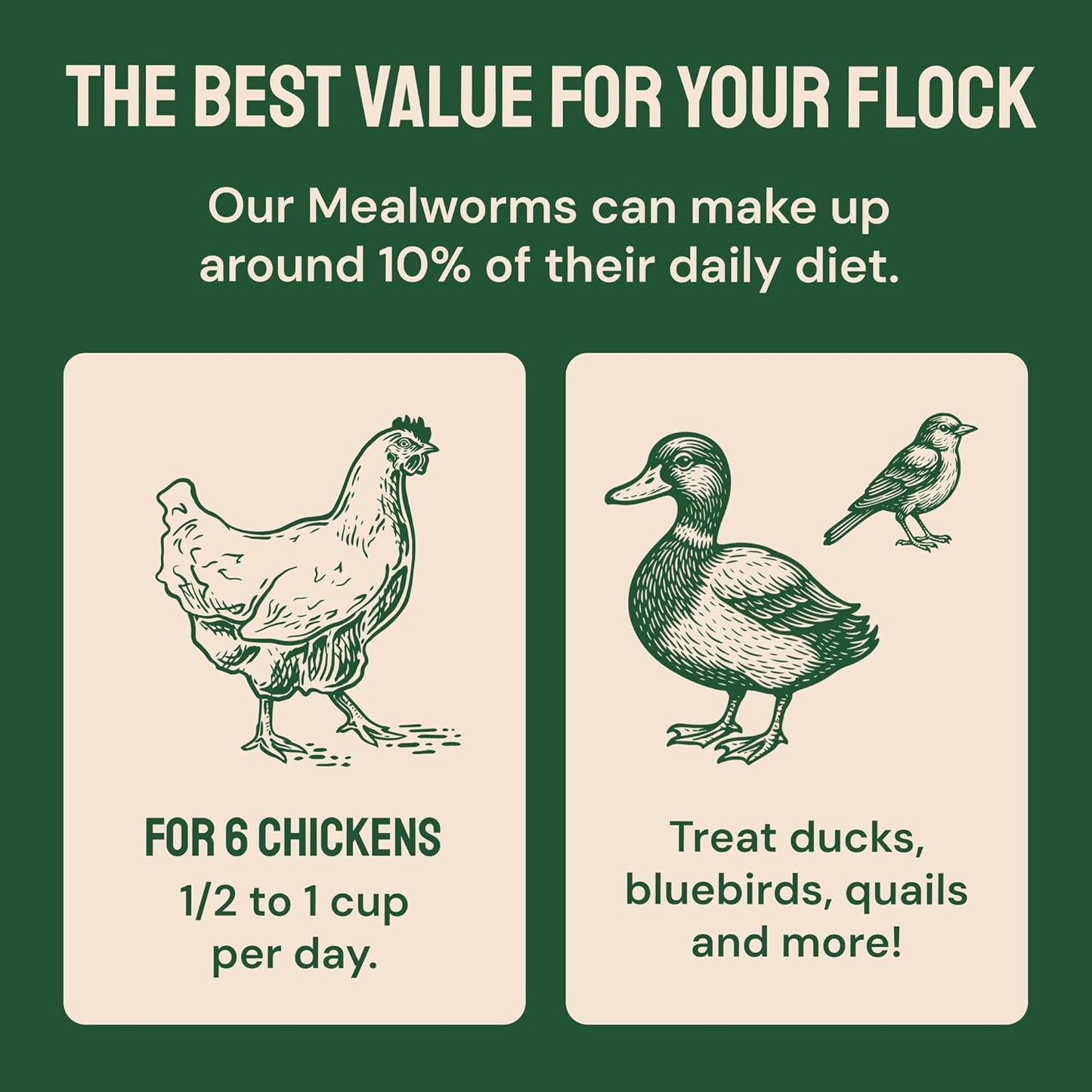 Hatortempt Bulk Dried Mealworms - 5 Lb Bag - Dried Mealworms for Chickens, Ducks & Wild Birds - High-Protein Chicken Feed & Bird Food - Image 9