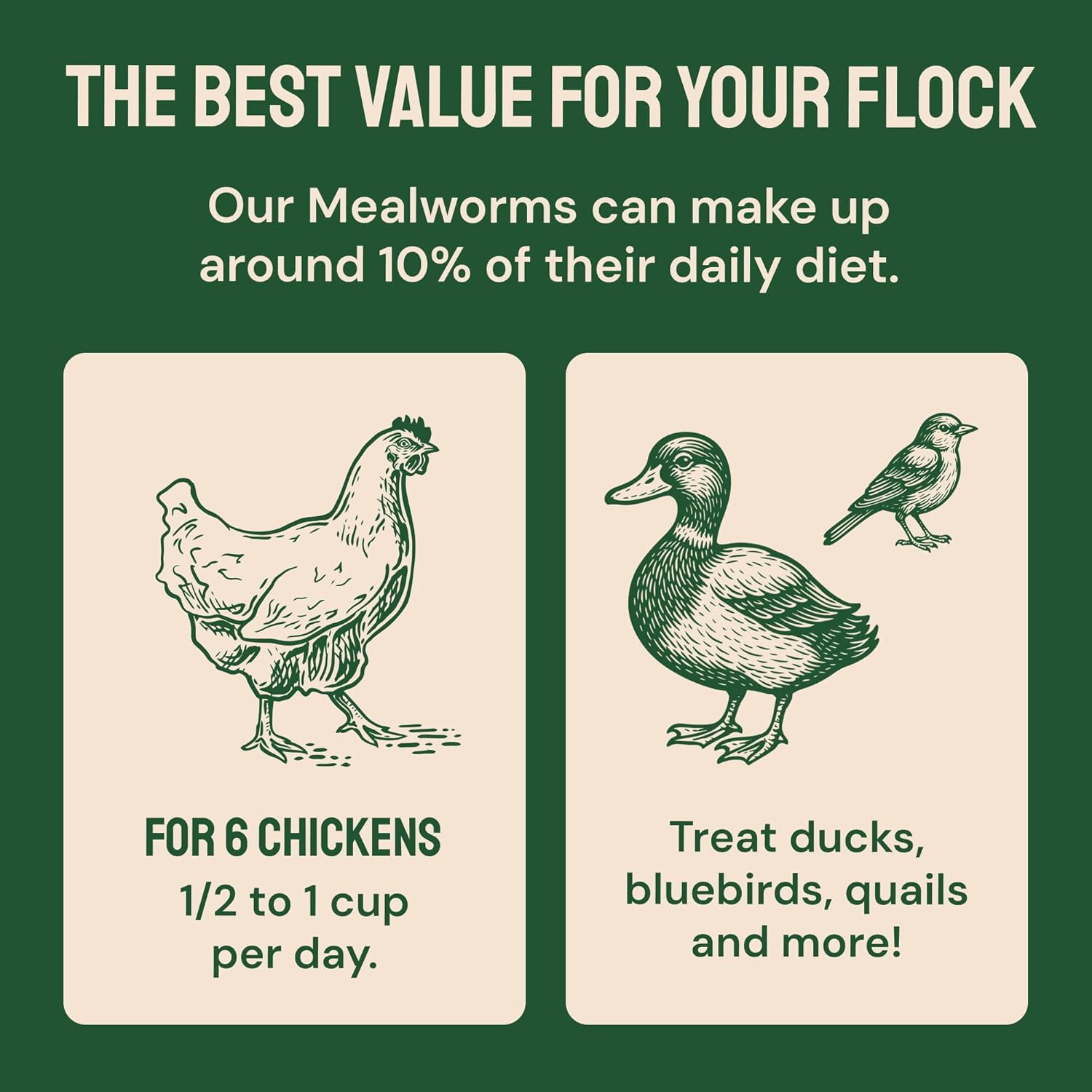 Hatortempt Bulk Dried Mealworms - 5 Lb Bag - Dried Mealworms for Chickens, Ducks & Wild Birds - High-Protein Chicken Feed & Bird Food - Image 9