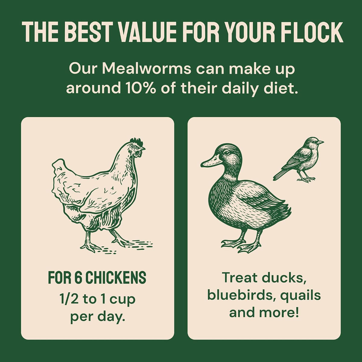 Hatortempt 5lb Dried Mealworms for Chickens & Wild Birds, Chicken Feed - Image 9