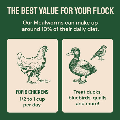 Hatortempt Bulk Dried Mealworms - 5 Lb Bag - Dried Mealworms for Chickens, Ducks & Wild Birds - High-Protein Chicken Feed & Bird Food - Image 9