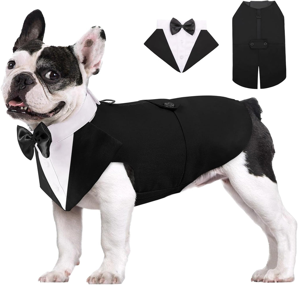 AOFITEE dog tuxedo formal suit front view on a small pup