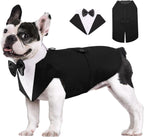 AOFITEE dog tuxedo formal suit front view on a small pup