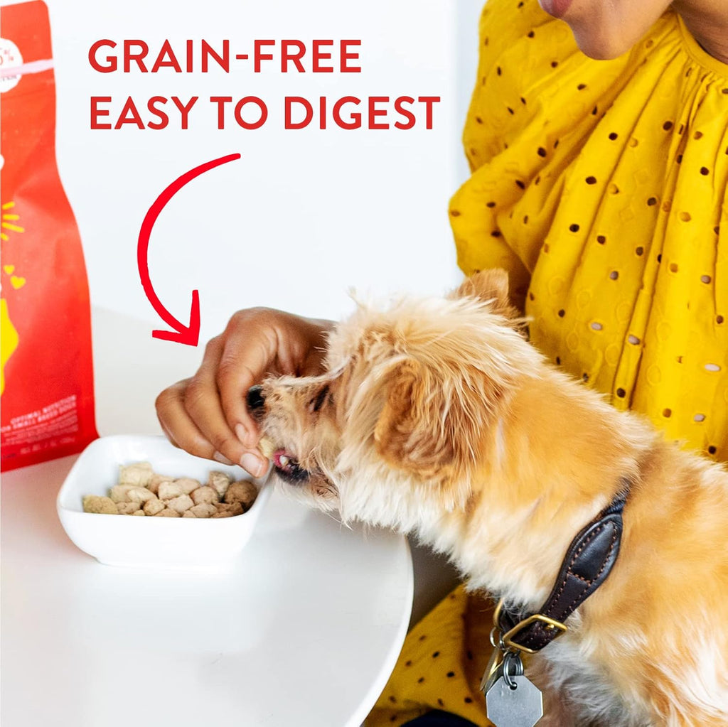 High protein freeze dried raw dog food for small breeds