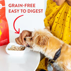High protein freeze dried raw dog food for small breeds