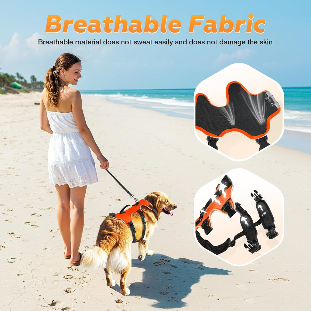 Fiveda USB-C rechargeable RGB light dog vest
