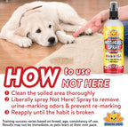 Bodhi Dog Not Here Spray label detailing pet repellent features