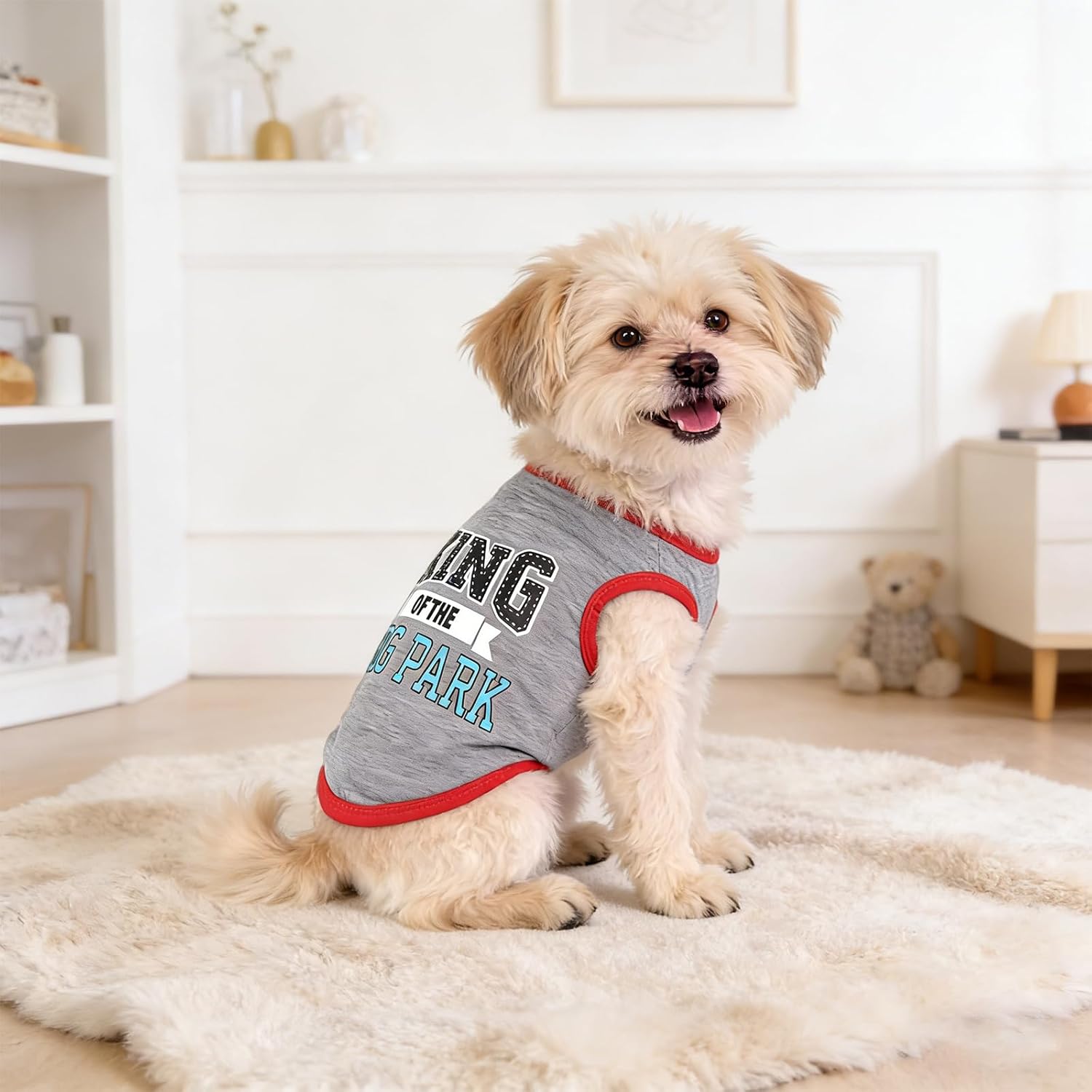 Variety of funny printed patterns in dog shirt set